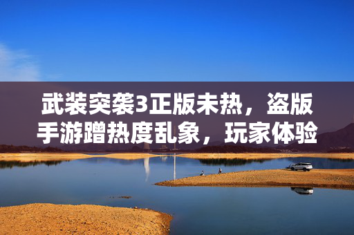 武装突袭3正版未热，盗版手游蹭热度乱象，玩家体验与版权之殇，武装突袭3正版未热，盗版手游蹭热度，玩家体验与版权之殇