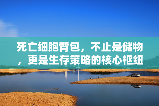 死亡细胞背包，不止是储物，更是生存策略的核心枢纽，死亡细胞背包，生存策略的核心枢纽