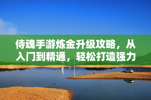 侍魂手游炼金升级攻略，从入门到精通，轻松打造强力武士，侍魂手游炼金升级全攻略，从入门到精通，轻松打造强力武士