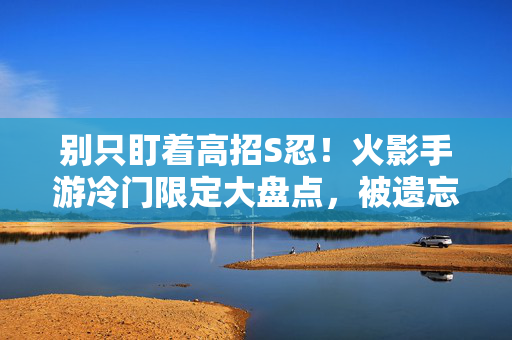 别只盯着高招S忍！火影手游冷门限定大盘点，被遗忘的决斗场宝藏，别只看高招S忍！火影手游这些冷门限定才是决斗场隐藏宝藏