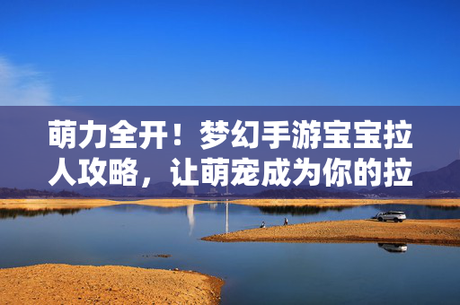 萌力全开！梦幻手游宝宝拉人攻略，让萌宠成为你的拉新神器，梦幻手游萌宠拉人全攻略，让宝宝成为你的最强吸粉神器！