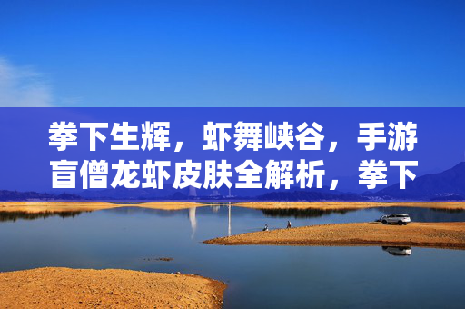 拳下生辉，虾舞峡谷，手游盲僧龙虾皮肤全解析，拳下生辉，虾舞峡谷，手游盲僧龙虾皮肤全解析