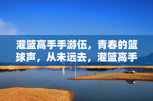 灌篮高手手游伍，青春的篮球声，从未远去，灌篮高手手游伍，青春篮球声，从未远去