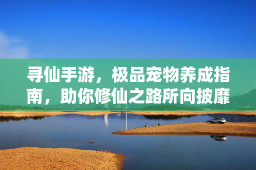 寻仙手游，极品宠物养成指南，助你修仙之路所向披靡，寻仙手游极品宠物养成指南，修仙所向披靡