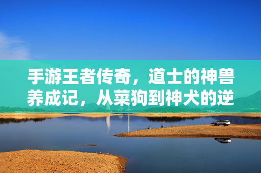 手游王者传奇，道士的神兽养成记，从菜狗到神犬的逆袭之路，手游王者传奇，道士神兽养成逆袭记