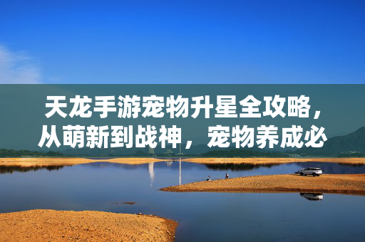 天龙手游宠物升星全攻略，从萌新到战神，宠物养成必备秘籍，天龙手游宠物升星，萌新到战神养成全攻略