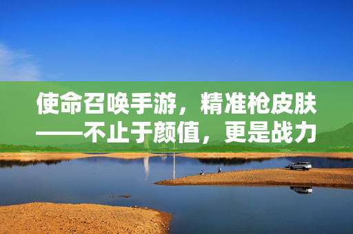 使命召唤手游，精准枪皮肤——不止于颜值，更是战力的极致升华，使命召唤手游精准枪皮肤，不止颜值，战力极致升华