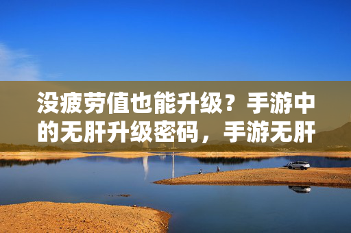 没疲劳值也能升级？手游中的无肝升级密码，手游无肝升级密码