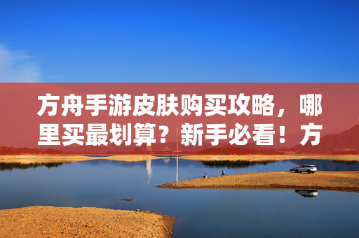 方舟手游皮肤购买攻略，哪里买最划算？新手必看！方舟手游皮肤购买攻略，哪里买最划算？新手必看！