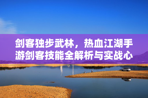 剑客独步武林，热血江湖手游剑客技能全解析与实战心得，热血江湖手游剑客技能全解析与实战心得