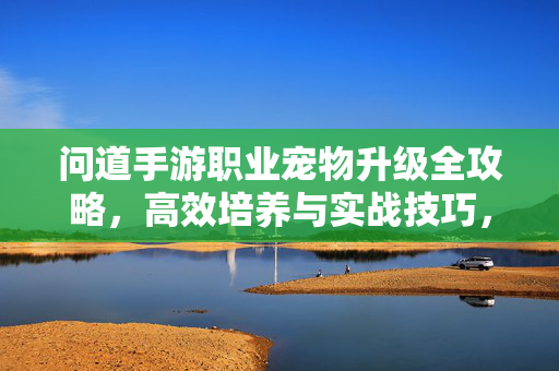 问道手游职业宠物升级全攻略，高效培养与实战技巧，问道手游职业宠物升级全攻略，高效培养与实战技巧