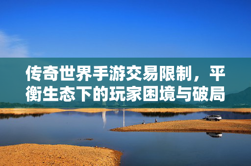 传奇世界手游交易限制，平衡生态下的玩家困境与破局之路，传奇世界手游交易限制，生态平衡下的玩家困境与破局
