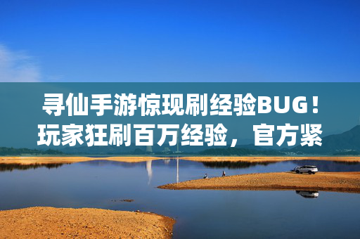 寻仙手游惊现刷经验BUG！玩家狂刷百万经验，官方紧急封号警示，寻仙手游惊现刷经验BUG，玩家狂刷百万经验遭官方紧急封号警示