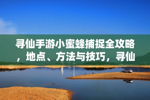 寻仙手游小蜜蜂捕捉全攻略，地点、方法与技巧，寻仙手游小蜜蜂捕捉全攻略，地点、方法与技巧