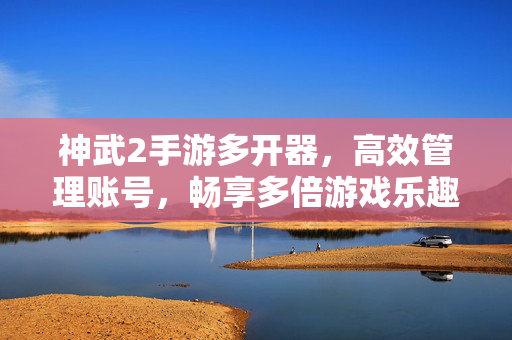 神武2手游多开器，高效管理账号，畅享多倍游戏乐趣，神武2手游多开器，高效管理账号，畅享多倍游戏乐趣