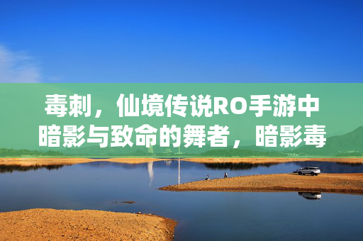 毒刺，仙境传说RO手游中暗影与致命的舞者，暗影毒刺，仙境传说RO手游的致命舞者