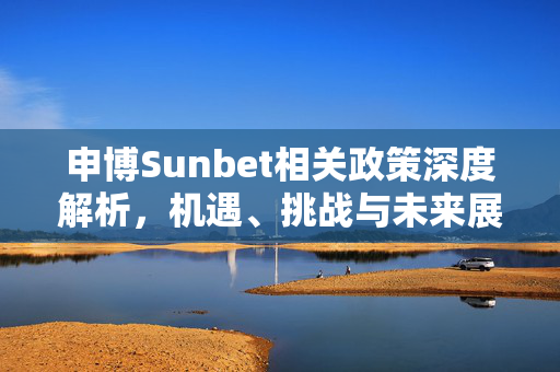 申博Sunbet相关政策深度解析，机遇、挑战与未来展望，申博Sunbet相关政策深度解析，机遇、挑战与未来展望