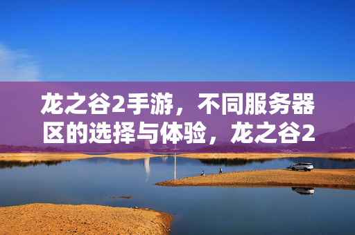 龙之谷2手游，不同服务器区的选择与体验，龙之谷2手游，不同服务器区选择与体验