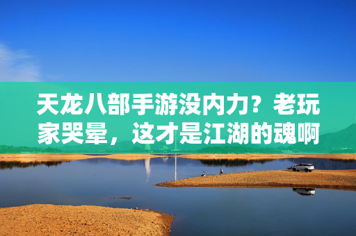 天龙八部手游没内力？老玩家哭晕，这才是江湖的魂啊！天龙八部手游去内力？老玩家哭晕，这才是江湖魂！