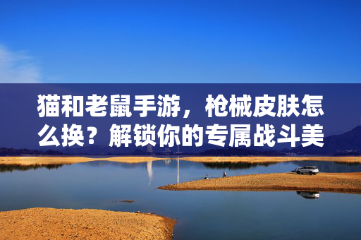 猫和老鼠手游，枪械皮肤怎么换？解锁你的专属战斗美学！猫和老鼠手游，换枪械皮肤，解锁专属战斗美学