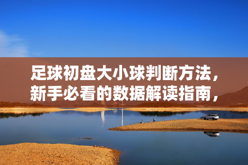 足球初盘大小球判断方法，新手必看的数据解读指南，足球初盘大小球判断方法，新手数据解读指南