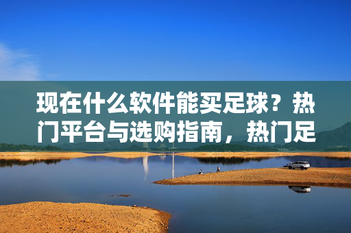 现在什么软件能买足球？热门平台与选购指南，热门足球购买平台与选购指南
