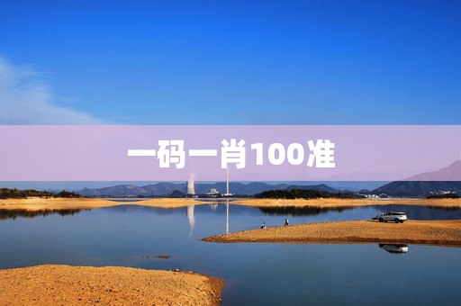 一码一肖100准