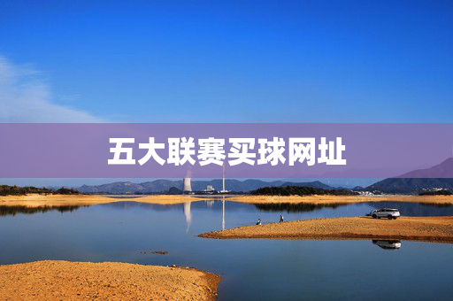 五大联赛买球网址