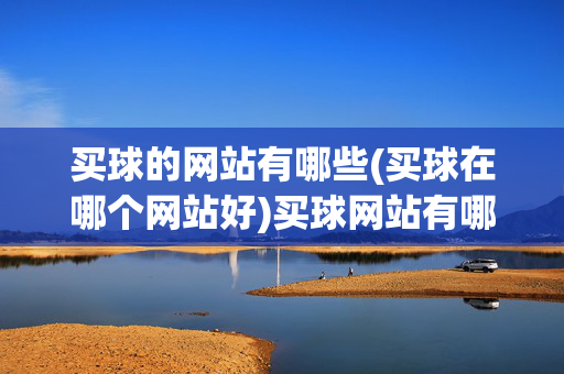 买球的网站有哪些(买球在哪个网站好)买球网站有哪些及哪个好