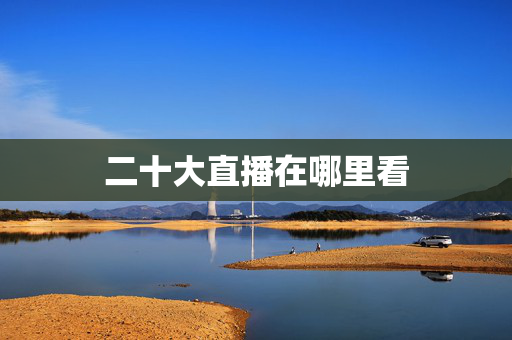 二十大直播在哪里看