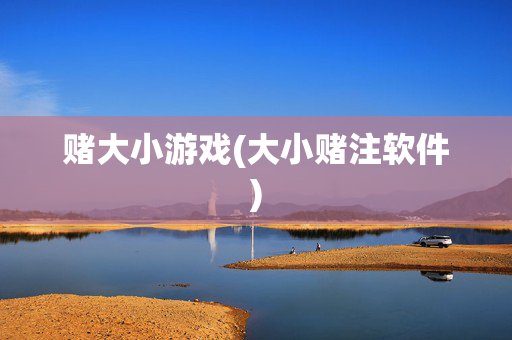 赌大小游戏(大小赌注软件)