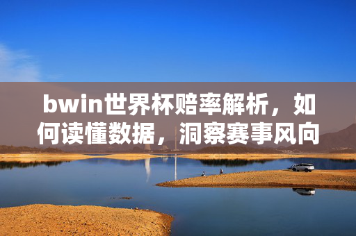 bwin世界杯赔率解析，如何读懂数据，洞察赛事风向？bwin世界杯赔率解析，数据洞察与赛事风向