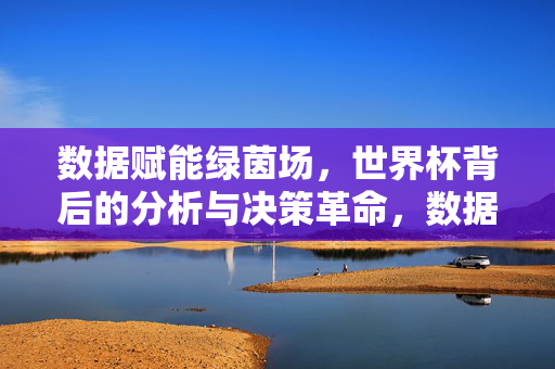 数据赋能绿茵场，世界杯背后的分析与决策革命，数据赋能世界杯，绿茵场的决策革命