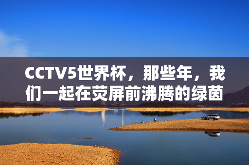 CCTV5世界杯,那些年,我们一起在荧屏前沸腾的绿茵时光,CCTV5世界杯,那些年,荧屏前的绿茵沸腾时光