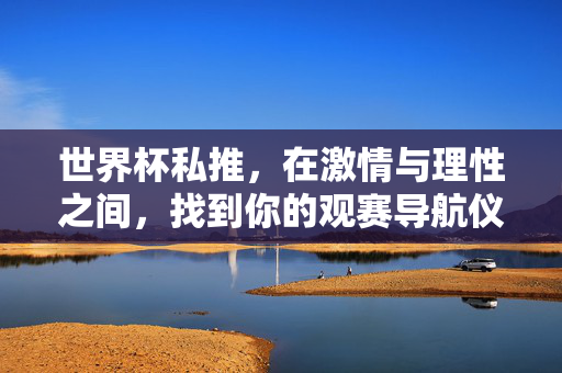 世界杯私推，在激情与理性之间，找到你的观赛导航仪，世界杯私推，激情与理性的观赛导航仪