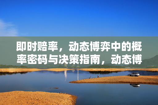 即时赔率，动态博弈中的概率密码与决策指南，动态博弈中的即时赔率，概率密码与决策指南