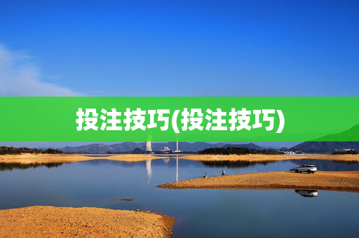 投注技巧(投注技巧)