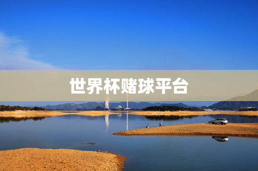 世界杯赌球平台