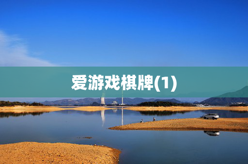 爱游戏棋牌(1)