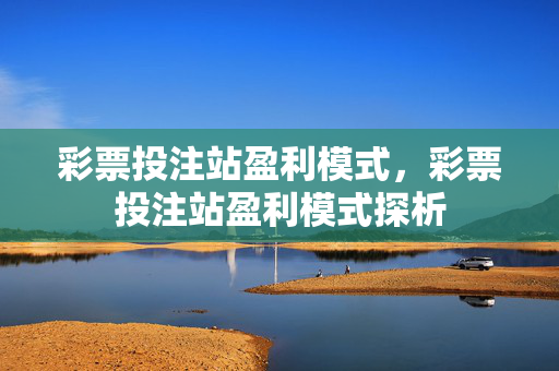 彩票投注站盈利模式，彩票投注站盈利模式探析
