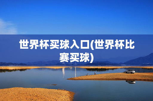 世界杯买球入口(世界杯比赛买球)