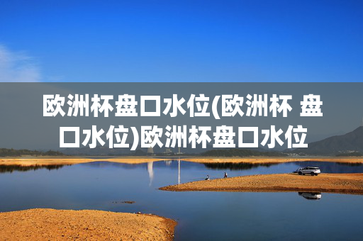 欧洲杯盘口水位(欧洲杯 盘口水位)欧洲杯盘口水位