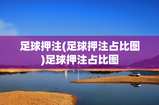 足球押注(足球押注占比图)足球押注占比图