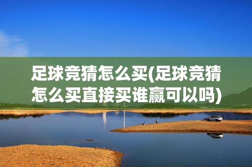 足球竞猜怎么买(足球竞猜怎么买直接买谁赢可以吗)足球竞猜怎么买？直接买谁赢可以吗？