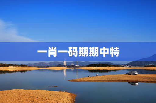 一肖一码期期中特