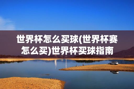世界杯怎么买球(世界杯赛怎么买)世界杯买球指南