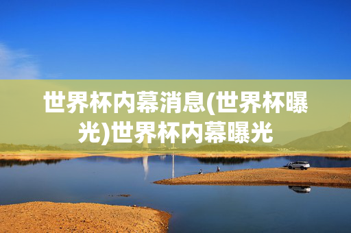 世界杯内幕消息(世界杯曝光)世界杯内幕曝光