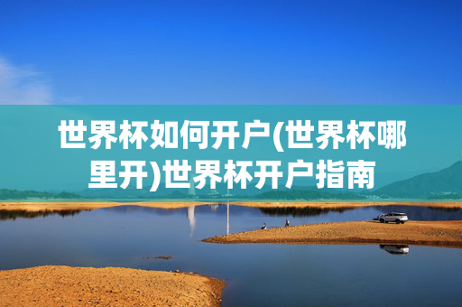 世界杯如何开户(世界杯哪里开)世界杯开户指南