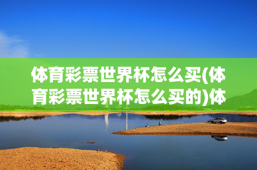 体育彩票世界杯怎么买(体育彩票世界杯怎么买的)体育彩票世界杯怎么买