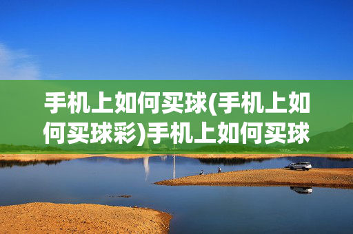 手机上如何买球(手机上如何买球彩)手机上如何买球